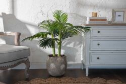 TH070109-A HAWAI PALMIYE AGACI 110cm (759TUF000033) - 2