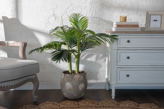 TH070109-A HAWAI PALMIYE AGACI 110cm (759TUF000033) - 2
