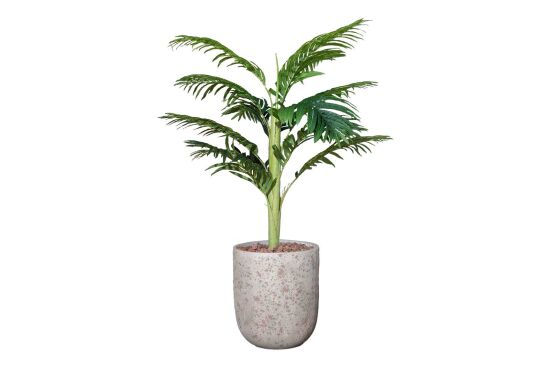 TH070109-A HAWAI PALMIYE AGACI 140cm (759TUF000023) - 1