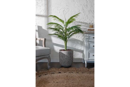 TH070109-A HAWAI PALMIYE AGACI 140cm (759TUF000023) - 3