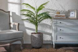 TH070109-A HAWAI PALMIYE AGACI 140cm (759TUF000023) - 2