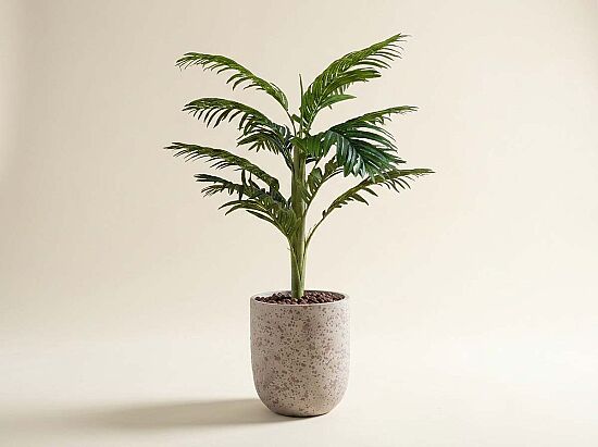 TH070109-A HAWAI PALMIYE AGACI 140cm (759TUF000023) - 1