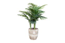TH070109-A HAWAI PALMIYE AGACI 150cm(759TUF000036) - YAPAY AĞAÇ