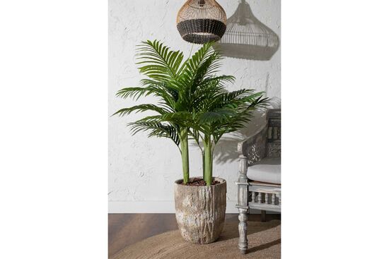 TH070109-A HAWAI PALMIYE AGACI 150cm(759TUF000036) - 2