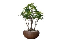 TH070135-A YAPAY MINI PARA AGACI 30X65cm - YAPAY AĞAÇ
