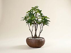 TH070135-A YAPAY MINI PARA AGACI 30X65cm - YAPAY AĞAÇ