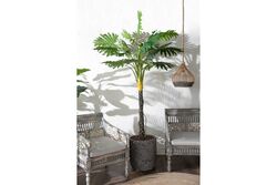 TH070146 FİLODENDRON YAPAY AĞAÇ 255CM(759TUF000064) - Thumbnail