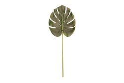 YAPAY ÇİÇEK - TH070197 DEVE TABANI YAPRAGI 90cm