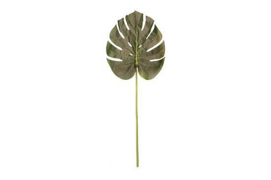 TH070197 DEVE TABANI YAPRAGI 90cm
