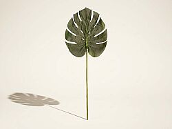 TH070197 DEVE TABANI YAPRAGI 90cm - YAPAY ÇİÇEK