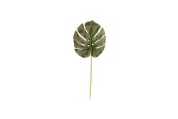 YAPAY ÇİÇEK - TH070202 DEVE TABANI YAPRAGI 35cm
