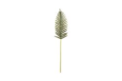 YAPAY ÇİÇEK - TH070244 PALMIYE YAPRAGI 108cm