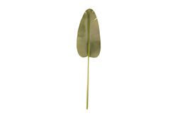 YAPAY ÇİÇEK - TH070265 PALMIYE YAPRAGI 136cm