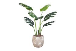 TH070307-A DEVE TABANI YAPAY AGAC 130cm(759TUF000033) - YAPAY AĞAÇ