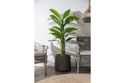 TH070317-A MUZ YAPAY AGACI 170cm(759TUF000094) - Thumbnail