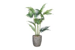 YAPAY AĞAÇ - TH070329-A PALMIYE YAPAY AGAC 145cm(759TUF000004)