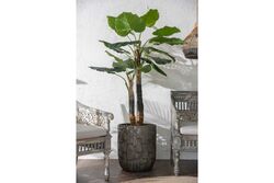 TH070346-A WILD TARO YAPAY AGAC 190cm(759TUF000104) - Thumbnail