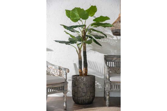 TH070346-A WILD TARO YAPAY AGAC 190cm(759TUF000104)
