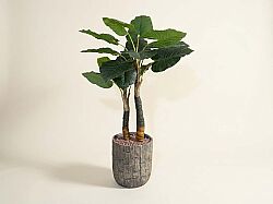 TH070346-A WILD TARO YAPAY AGAC 190cm(759TUF000104) - YAPAY AĞAÇ