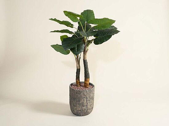 TH070346-A WILD TARO YAPAY AGAC 190cm(759TUF000104) - 1