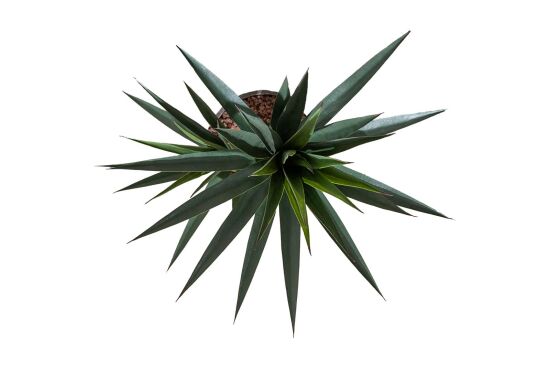 TH070366-A SISAL YAPAY AGAC 150cm (759TUF000088) - 3