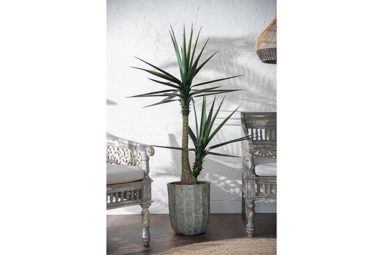 TH070366-A SISAL YAPAY AGAC 155cm(759TUF000053)