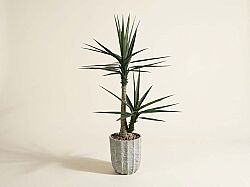 TH070366-A SISAL YAPAY AGAC 155cm(759TUF000053) - YAPAY AĞAÇ