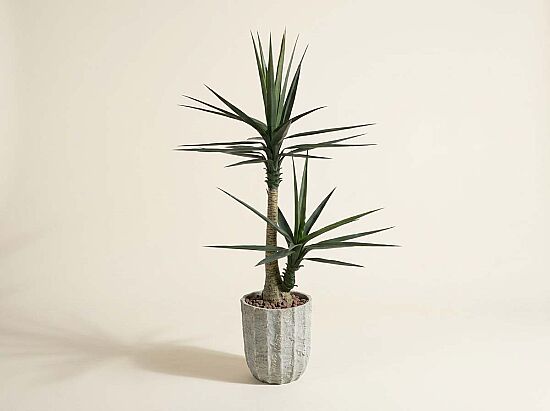 TH070366-A SISAL YAPAY AGAC 155cm(759TUF000053) - 1