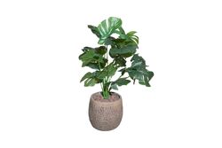 YAPAY AĞAÇ - TH085001-A YEŞİL MONSTERA YAPAY AĞAÇ 75CM(759TUF000026)