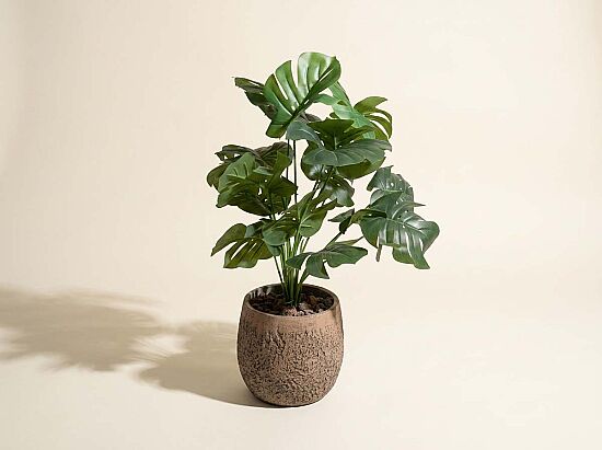 TH085001-A YEŞİL MONSTERA YAPAY AĞAÇ 75CM(759TUF000026) - 1