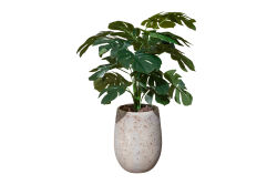 TH085001-A YEŞİL MONSTERA YAPAY AĞAÇ 85 CM - (759TUF000047) - KERVAN