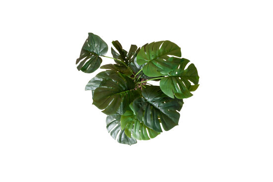 TH085001-A YEŞİL MONSTERA YAPAY AĞAÇ 85 CM - (759TUF000047) - 3