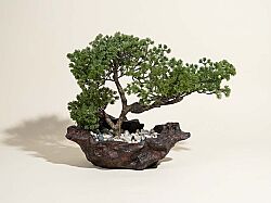 TH106279-A MINI YAPAY ÇAM AGACI 40X55cm(759NY0000034) - YAPAY AĞAÇ