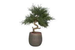 TH106355-A YAPAY CEDAR AGACI 95cm(759TUF000027) - YAPAY AĞAÇ