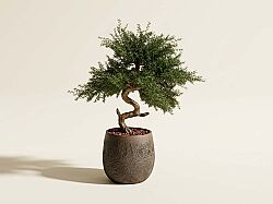 TH106355-A YAPAY CEDAR AGACI 95cm(759TUF000027) - YAPAY AĞAÇ