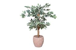 YAPAY AĞAÇ - TH218030 3 KÖK FIKUS YAPAY AGAC 110CM(759TUF000068)