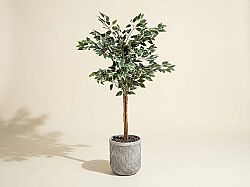 TH218031 3 KÖK FIKUS YAPAY AGAC 145CM(759TUF000038) - YAPAY AĞAÇ