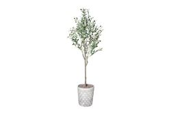 YAPAY AĞAÇ - TH218101 36 FRUITS OLIVE ARTIFICIAL TREE 165CM(759TUF000056)