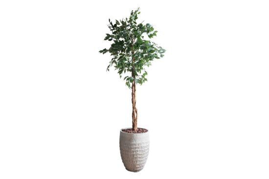 TH218112 3 KÖK YEŞİL FIKUS YAPAY AGAC 220 CM (759TUF000043) - 1