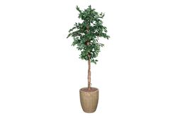 YAPAY AĞAÇ - TH218113 3 KÖK FICUS YAPAY AĞAÇ 235CM(759TUF000085)