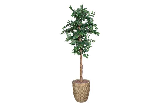 TH218113 3 KÖK FICUS YAPAY AĞAÇ 235CM(759TUF000085)