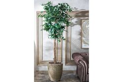 TH218113 3 KÖK FICUS YAPAY AĞAÇ 235CM(759TUF000085) - Thumbnail