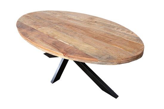 TT025 YEMEK MASASI OVAL 100x220x77cm