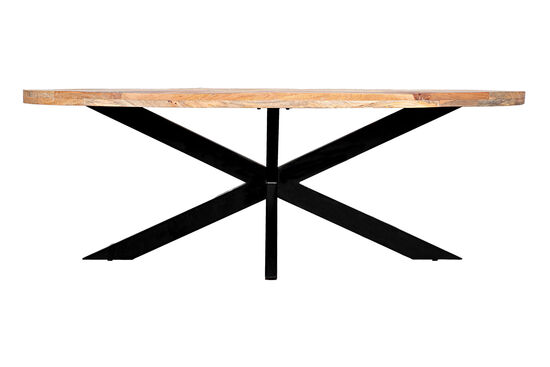 TT025 YEMEK MASASI OVAL 100x220x77cm