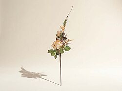 XHJ0894-R10 GUL BUKETI KREM 77cm (24) - SWEET FLOWERS