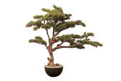 YAPAY AĞAÇ - YAPAY BONSAI AGAC 100cm ( TH106349 )