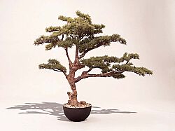 YAPAY BONSAI AGAC 100cm ( TH106349 ) - 