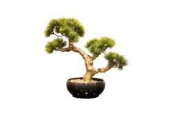 YAPAY AĞAÇ - YAPAY BONSAI AGAC 34cm (TH106172 )