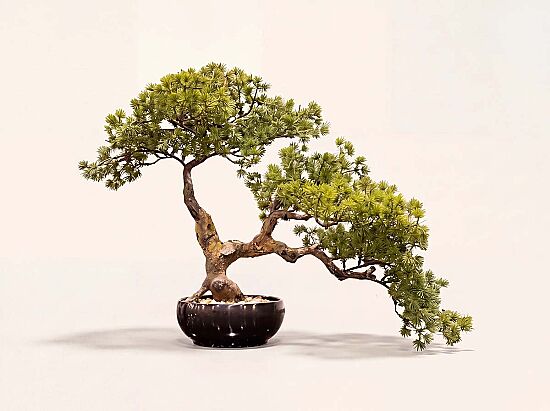 YAPAY BONSAI AGAC 40cm ( TH106282 ) - 1