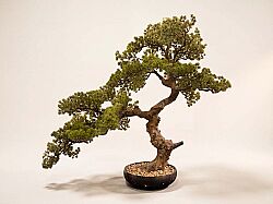 YAPAY BONSAI AGAC 78cm (TH106271 ) - 